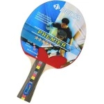 5 YILDIZ MASA TENİS RAKETİ