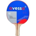 2 YILDIZ MASA TENİS RAKETİ